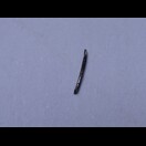 Ein aus Südostasien mitgebrachtes Souvenir, das noch in Deutschland einen Luftverlust verursachte